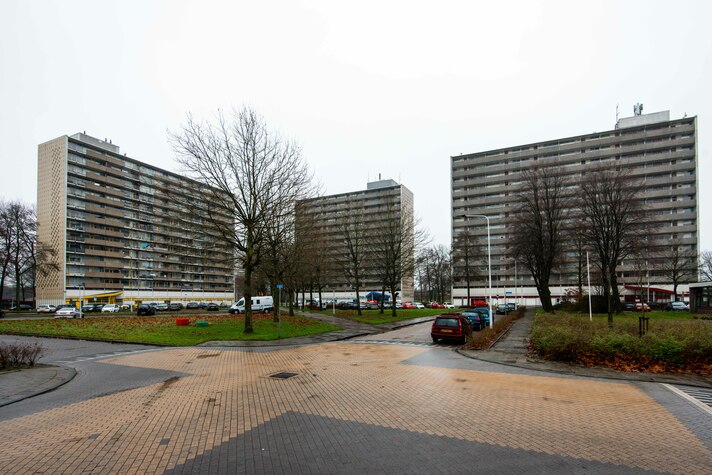 De Tjaarda flats te Drachten