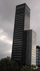 IMG_4064.jpeg