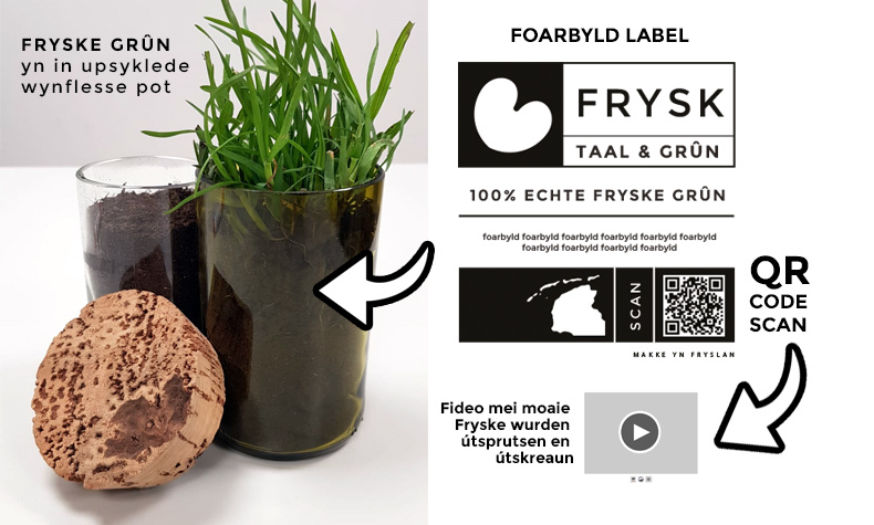 Duorsum en interaktief Frysk relaasje geskink mei QR code